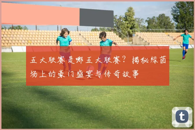 五大联赛是哪五大联赛？揭秘绿茵场上的豪门盛宴与传奇故事