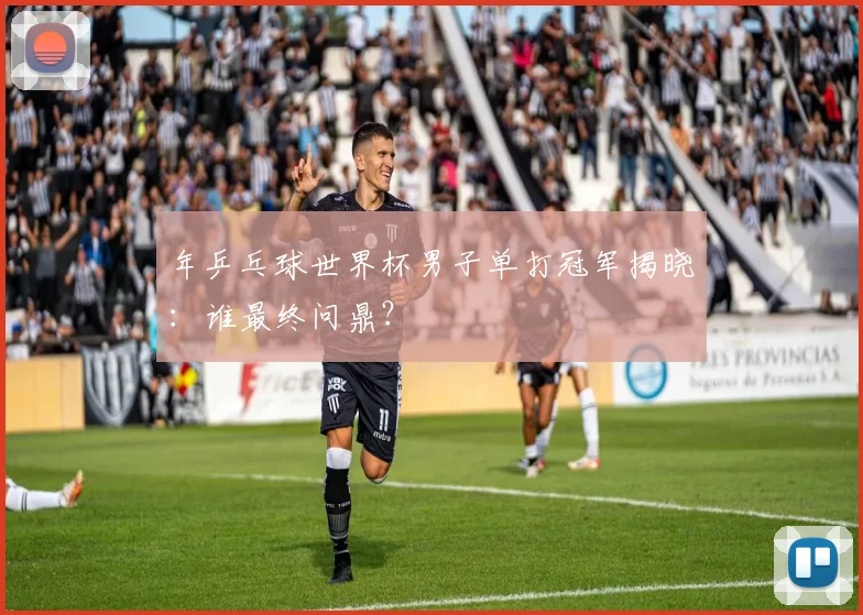 年乒乓球世界杯男子单打冠军揭晓：谁最终问鼎？