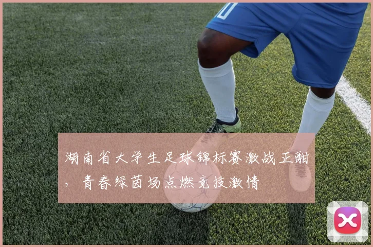 湖南省大学生足球锦标赛激战正酣，青春绿茵场点燃竞技激情