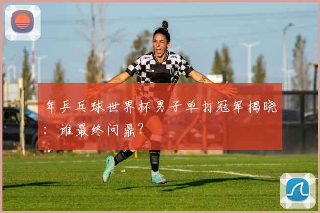 年乒乓球世界杯男子单打冠军揭晓：谁最终问鼎？